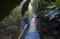Ekowisata Mangrove Lantebung...