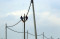 PLN Jawa Timur Optimistis...