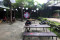 Cafe dan Resto Berkonsep...