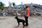 Tim SAR Gunakan Anjing...