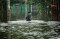 Banjir Rendam Permukiman...