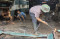 Senjakala Kopaja Berakhir...