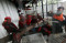 BKSDA Sulsel Amankan...