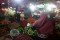 Dampak Covid-19 Masih...