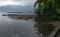 Ribuan Ikan di Danau...