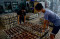 Terdampak Pandemi Covid-19,...
