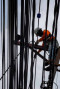 PLN Beri Diskon 30 Persen...