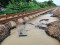 Terdampak Banjir, Hari...