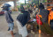 Satgas Covid-19 Cilandak...