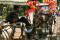 Delman Hias di Monas...