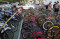 Sepeda Angin, Motor...
