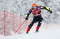 Aksi Atlet Ski di Alpine...