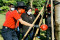 Dukung Program Penghijauan,...
