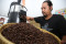 Target Produksi Kopi...