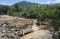 WALHI: Kerusakan Lingkungan...