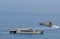 Formasi Sailing Pass...