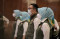 Ridwan Kamil Hadiri...
