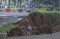 Jalan Boulevard GDC...