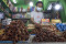 Omset Penjualan Kurma...