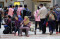 H-1 Larangan Mudik,...