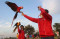 Penggemar Burung Free...