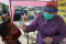 Tes Antigen Covid-19...