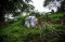 Kubur 30 Jenazah Covid...