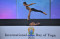 Perayaan Hari Yoga Internasional...