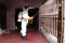 Penyemprotan Disinfektan...