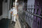 Penyemprotan Disinfektan...