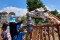World Giraffe Day, Jerapah...