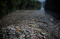 Lautan Sampah di Sungai...