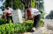 Rayakan HUT DKI ke-494,...