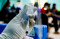 Vaksinasi Gotong Royong...