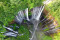 Menikmati Panorama Air...