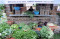 Dapur Umum Gotong Royong...