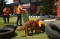 Pelatihan Anjing SAR...