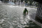 Melihat Perawatan Rutin...