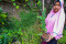Manfaat Budidaya Pohon...