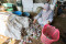 Menyulap Sampah Plastik...