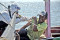 Hingga Tengah Laut,...