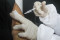 Percepat Herd Immunity,...