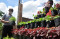 Budidaya Urban Farming...
