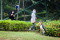 Wahana Taman Burung...