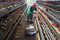 Harga Telur Ayam Tak...