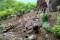 Megahnya Candi Kendalisada,...