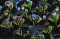 Wisuda Tatap Muka di...