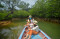 Menyusuri Hutan Mangrove...