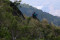 Mendaki Gunung Merekam...