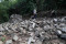 Mendaki Gunung Merekam...